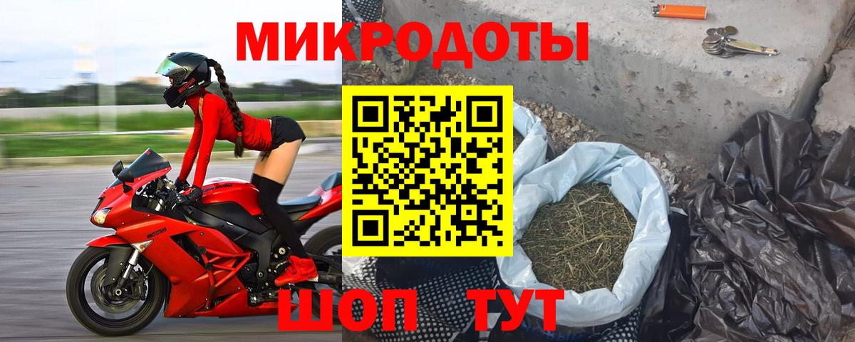 Фрязино  Псилоцибиновые грибы Psilocybine cubensis  Вход с VPN 
